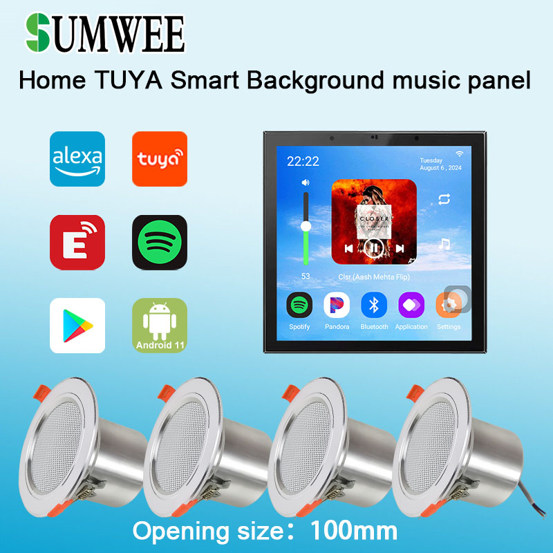 4 Inch Android 11 Tuya Smart H - Audio Music For Background review and price