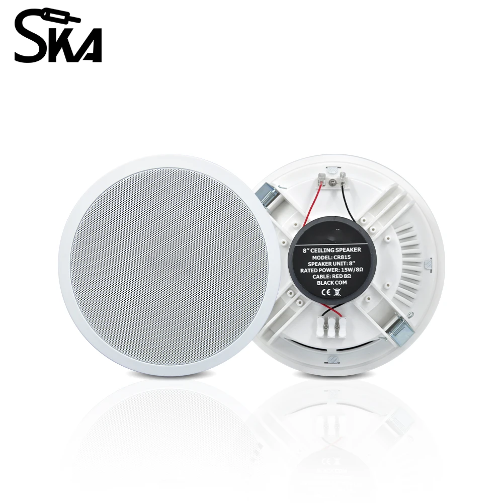 PW4420T+CR815 Smart Home Audio - Audio Music For Background review and price