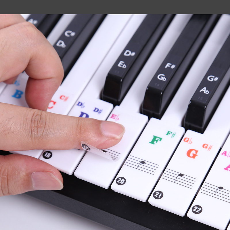 Transparent Piano Keyboard Sti - Audio Music Notes review and price