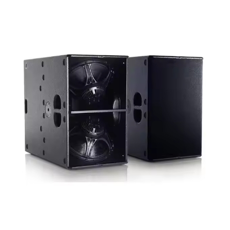 Professional Famous T24N Dual  - Audio Music Hall review and price