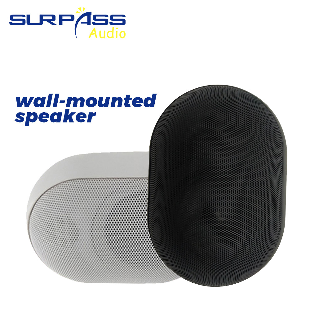 30W Wall-mounted Speaker Water - Audio Music For Background review and price
