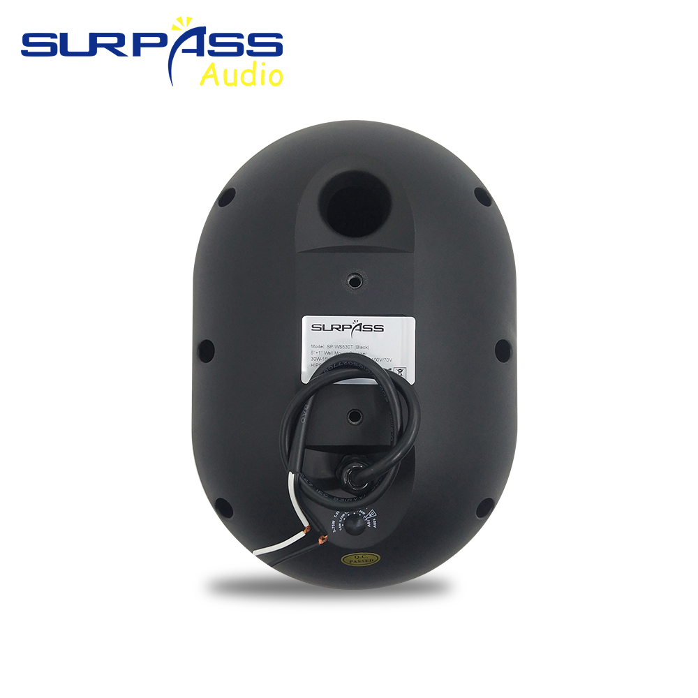 30W Wall-mounted Speaker Water - Audio Music For Background review and price