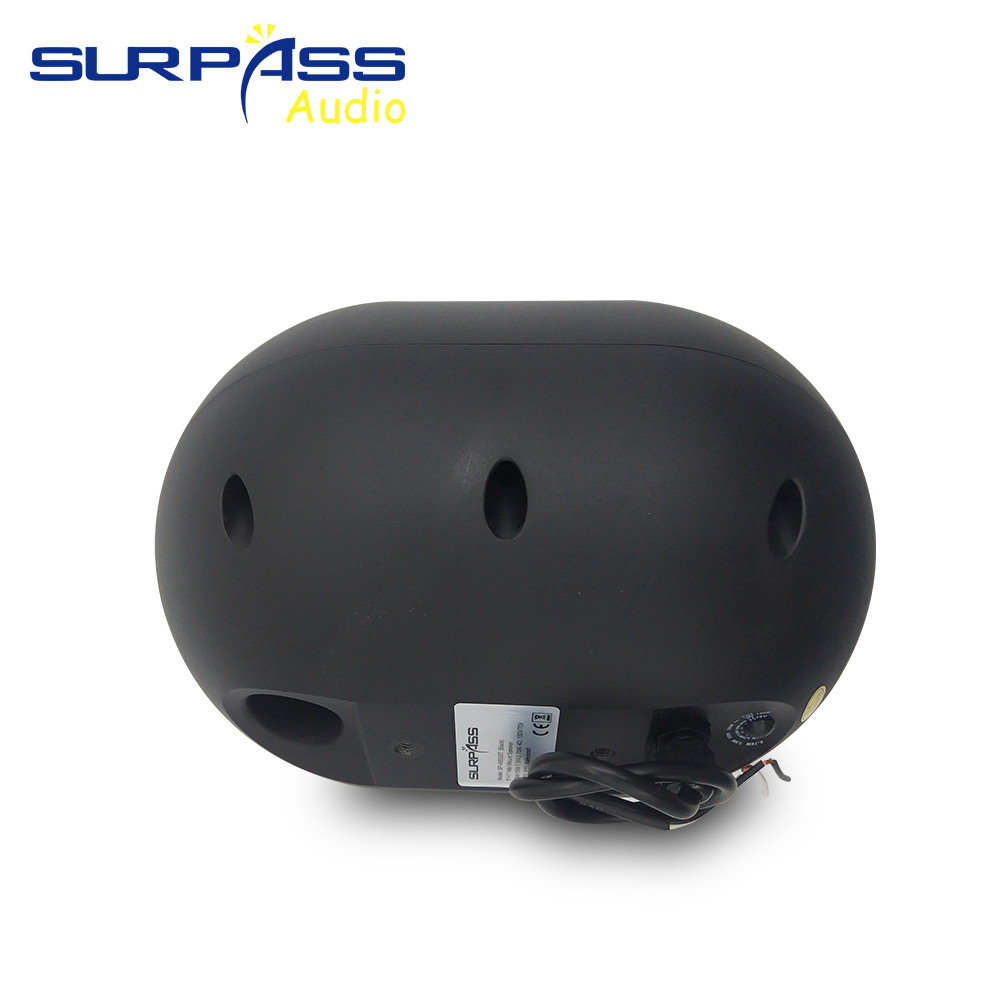 30W Wall-mounted Speaker Water - Audio Music For Background review and price